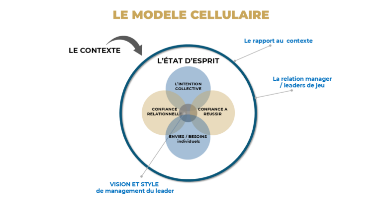 modèle cellulaire