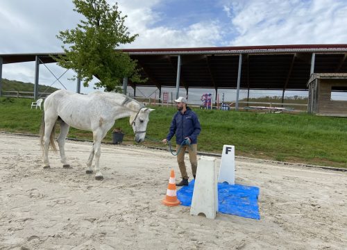 équicoaching | cohésion d'équipe | formation communication